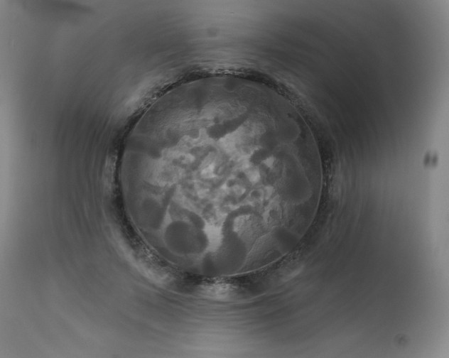 X0000113050695200908271531
