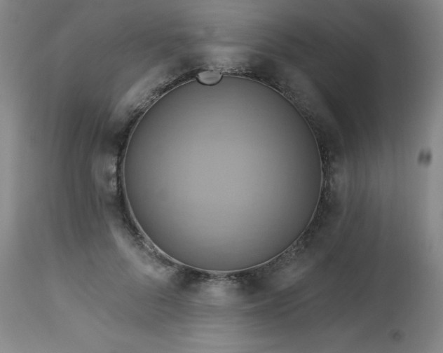X0000113050696200908271531