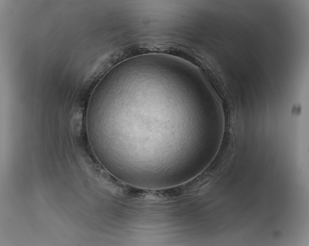X0000113050697200908271531