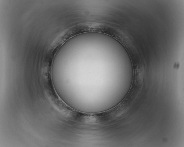X0000113050698200908271531