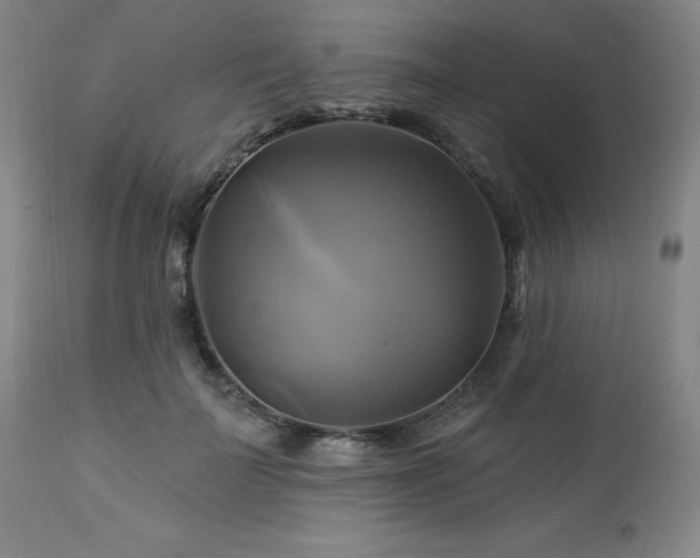 X0000113050699200908271531