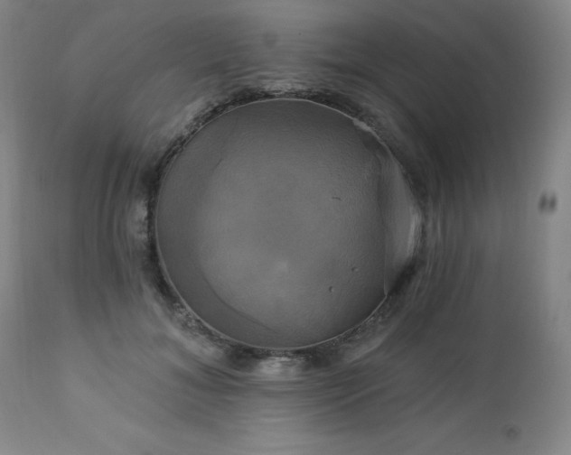 X0000113050700200908271531