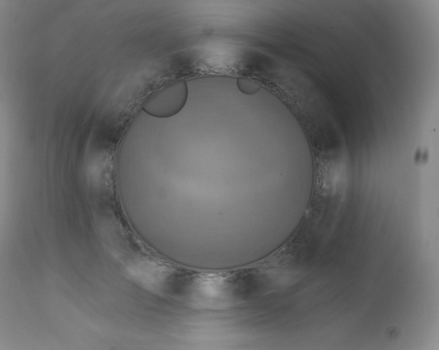 X0000113050701200908271531