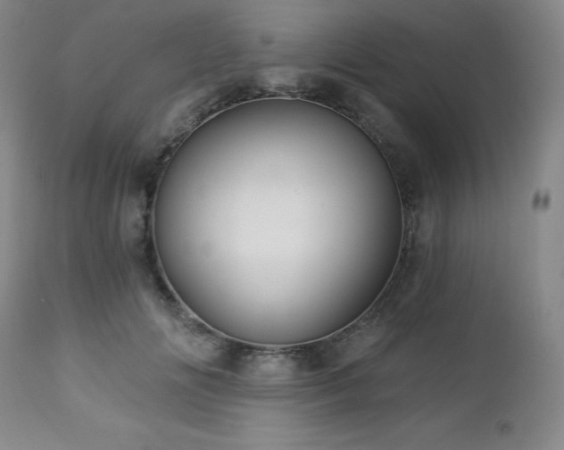 X0000113050702200908271531