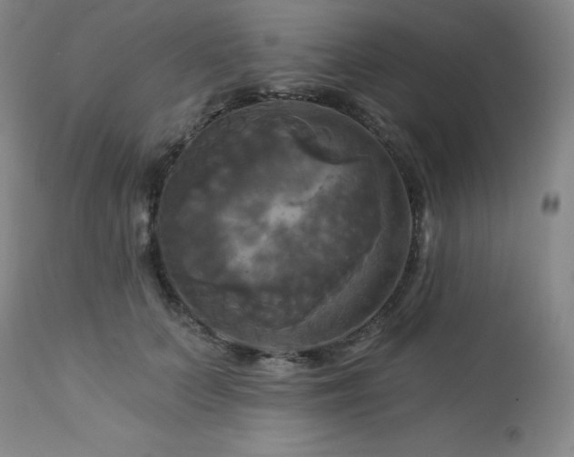 X0000113050703200908271531