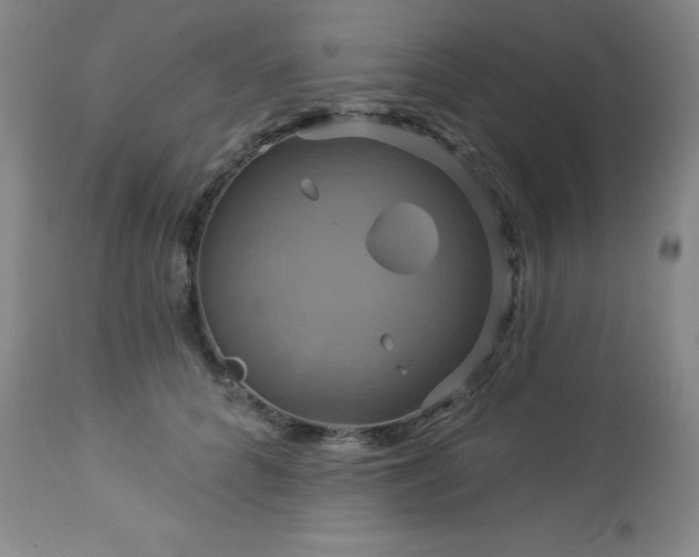 X0000113050704200908271531