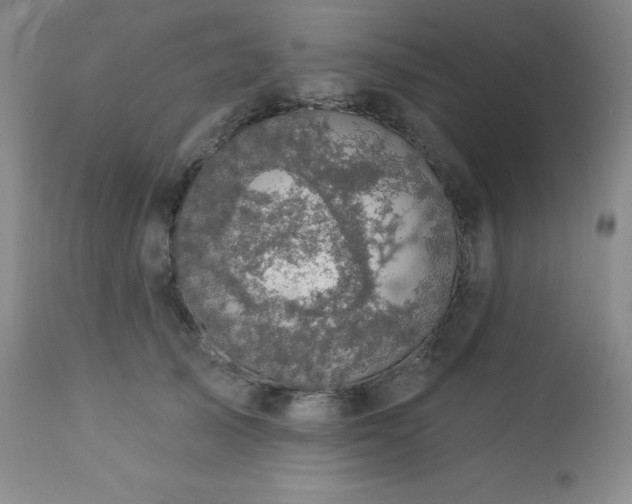 X0000113050705200908271531