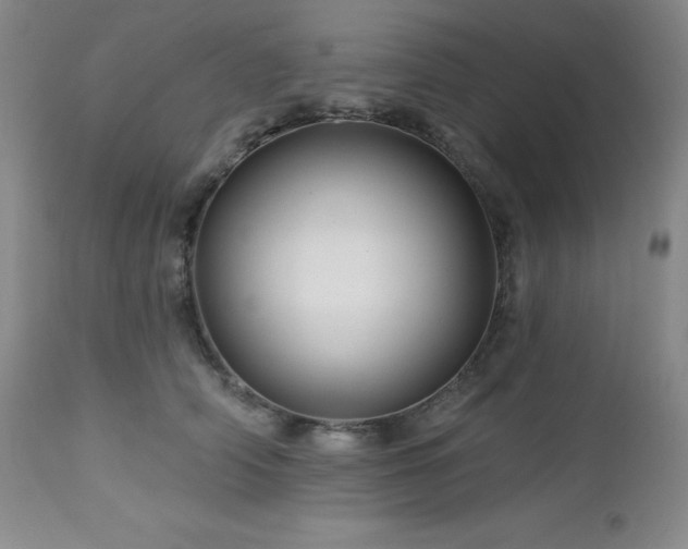 X0000113050706200908271531