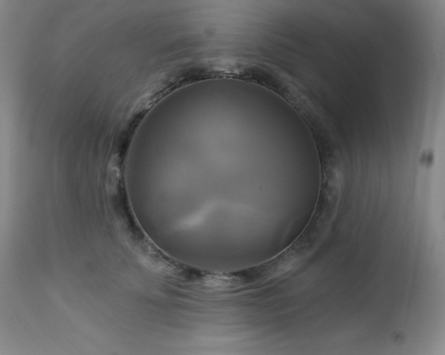 X0000113050707200908271531