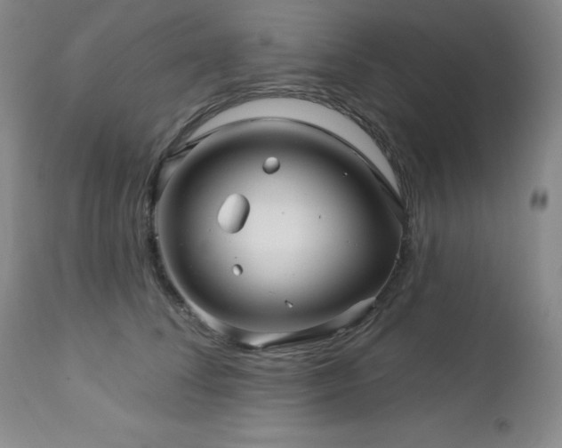 X0000113050708200908271531