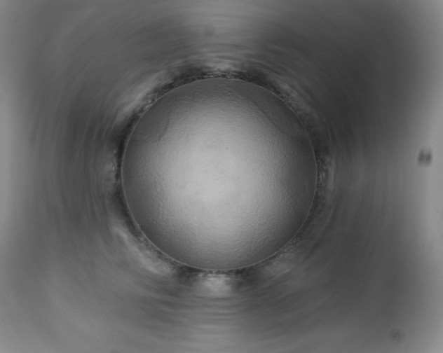 X0000113050710200908271531
