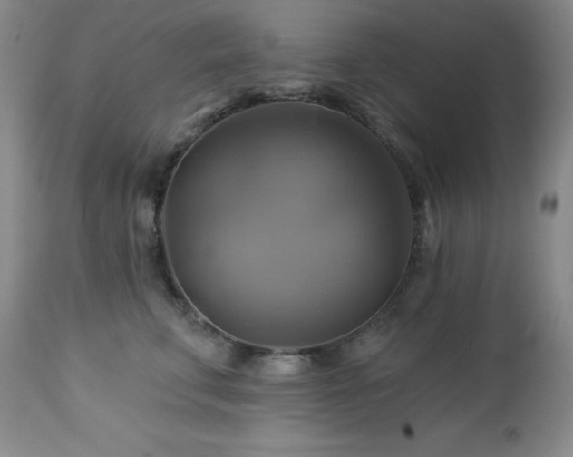X0000113050711200908271531