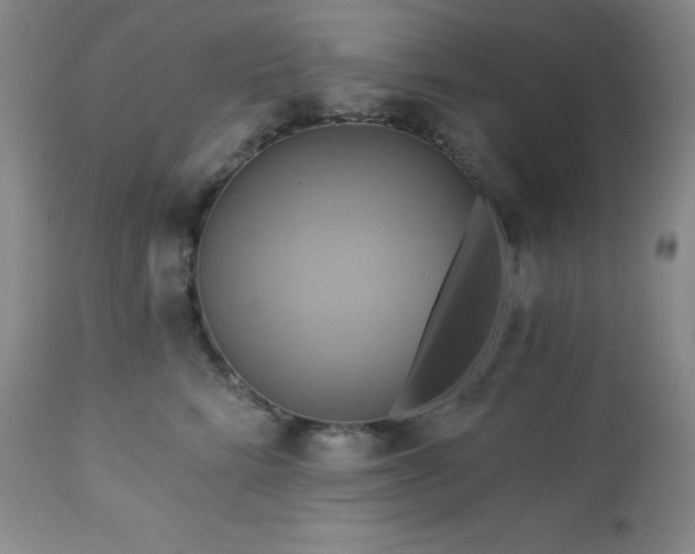 X0000113050712200908271531