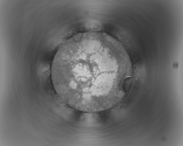 X0000113050713200908271531
