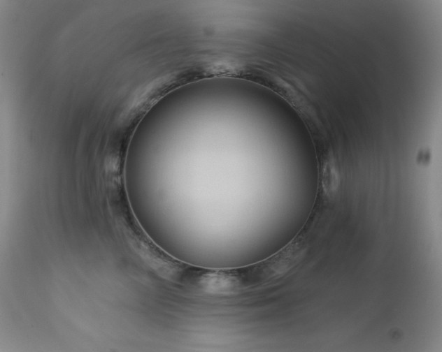 X0000113050714200908271531