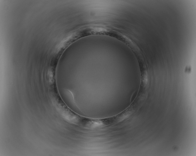 X0000113050715200908271531