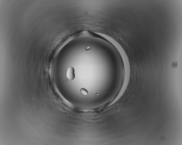 X0000113050716200908271531