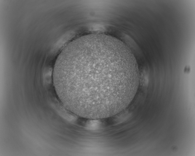 X0000113050717200908271531