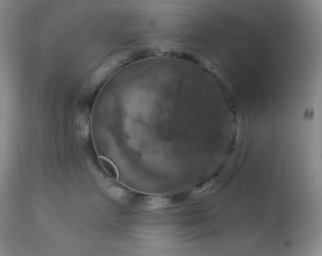 X0000113050719200908271531
