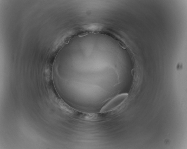 X0000113050720200908271531