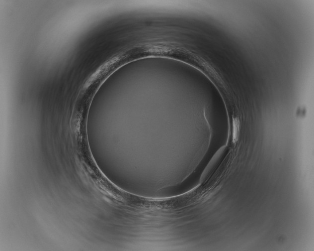 X0000113050723200908271530