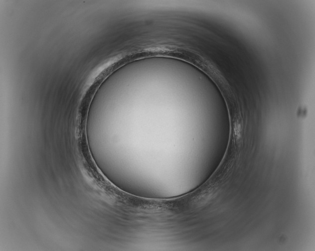 X0000113050724200908271530