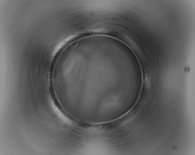 X0000113050725200908271530