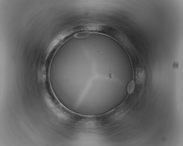 X0000113050726200908271530