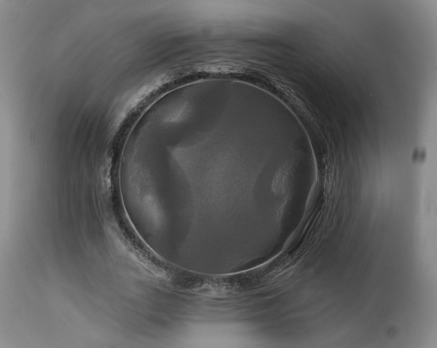 X0000113050727200908271530