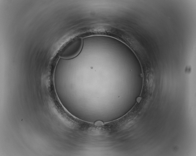 X0000113050728200908271530