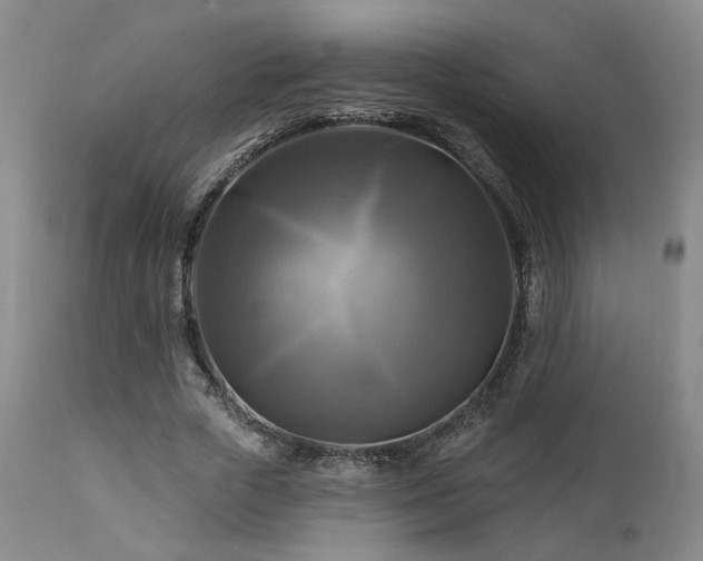 X0000113050729200908271530