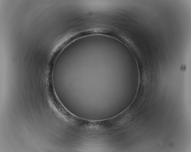 X0000113050730200908271530