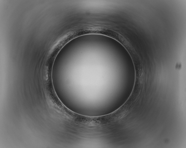 X0000113050731200908271530