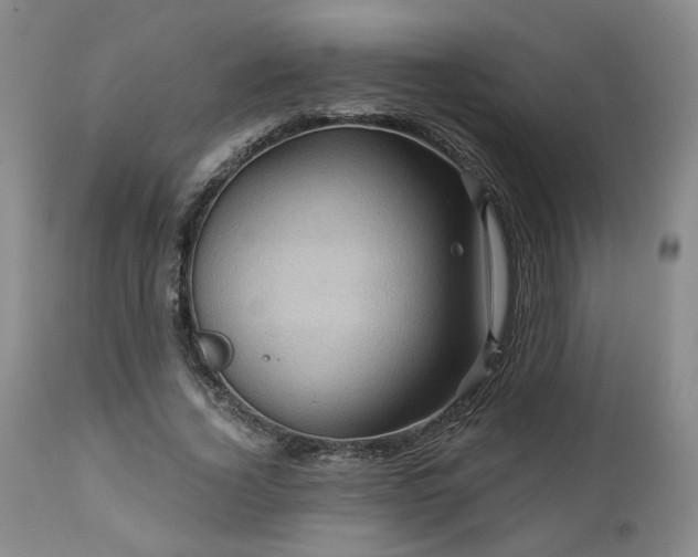 X0000113050732200908271530