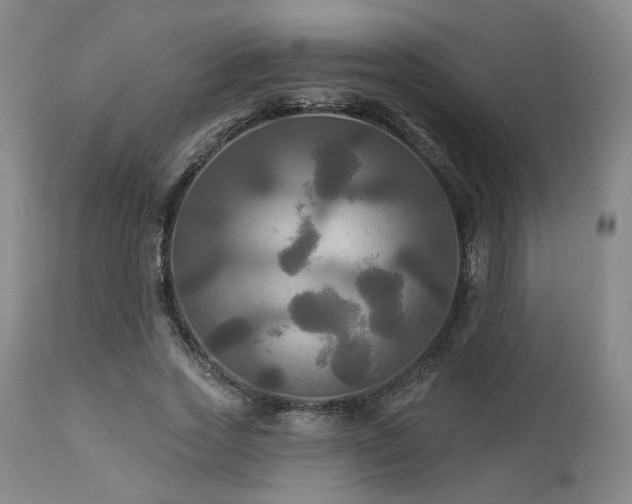 X0000113050733200908271530