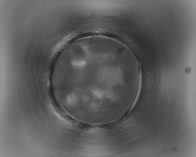 X0000113050734200908271530