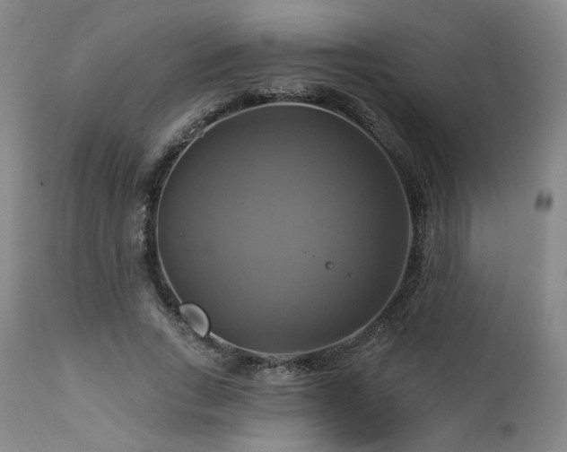 X0000113050735200908271530