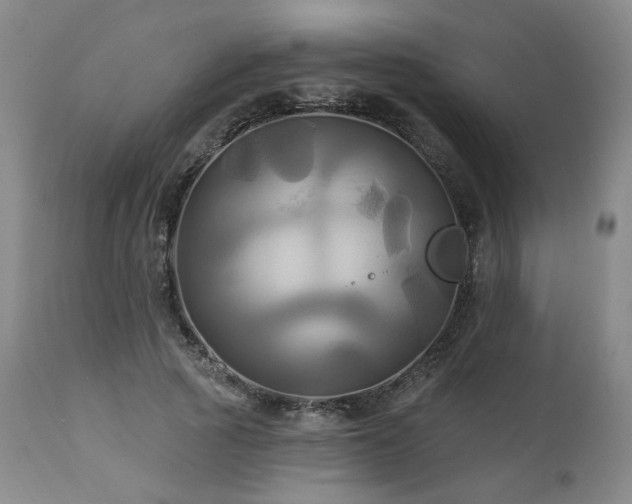 X0000113050737200908271530