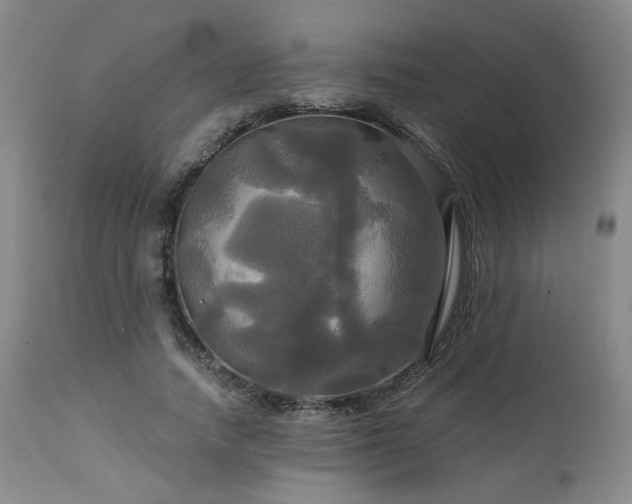 X0000113050738200908271530