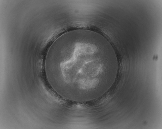 X0000113050739200908271530