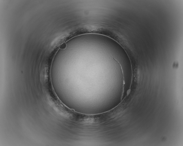 X0000113050740200908271530