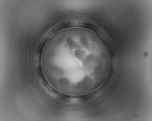 X0000113050741200908271530