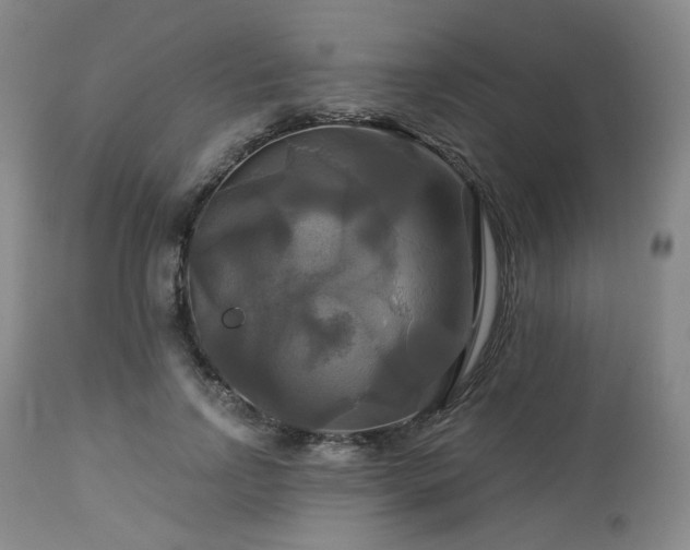 X0000113050742200908271530