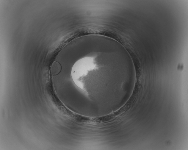X0000113050743200908271530
