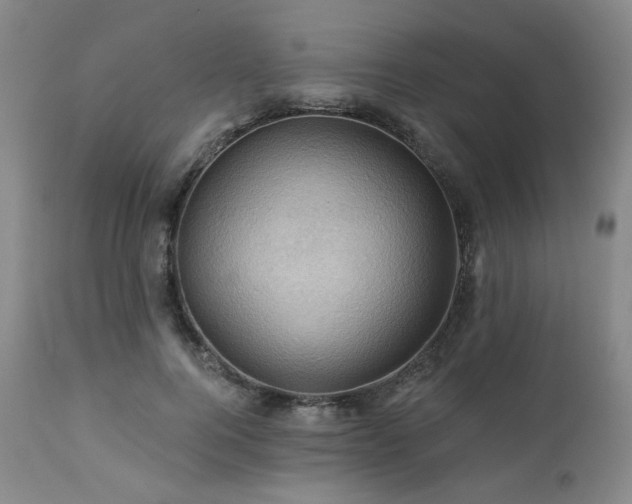X0000113050744200908271530