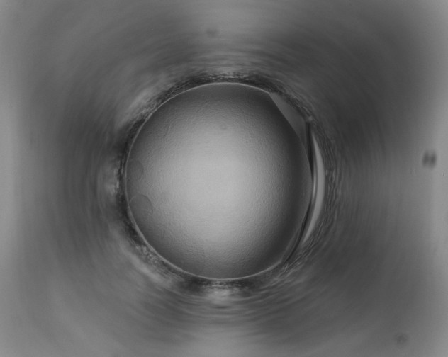 X0000113050746200908271530
