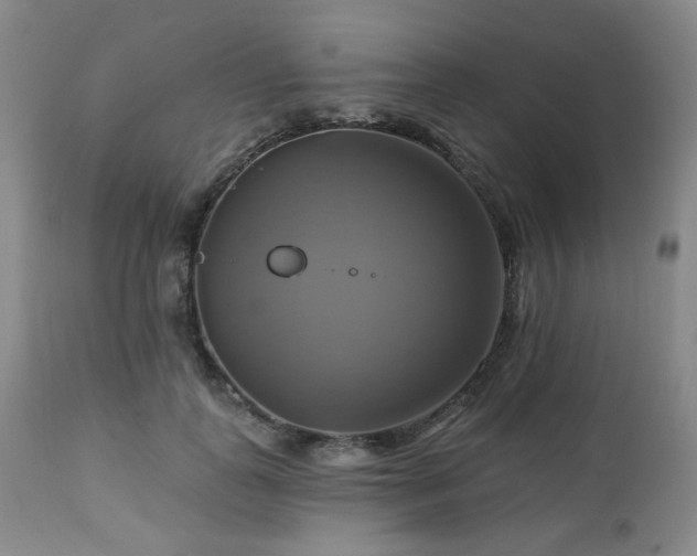 X0000113050747200908271530