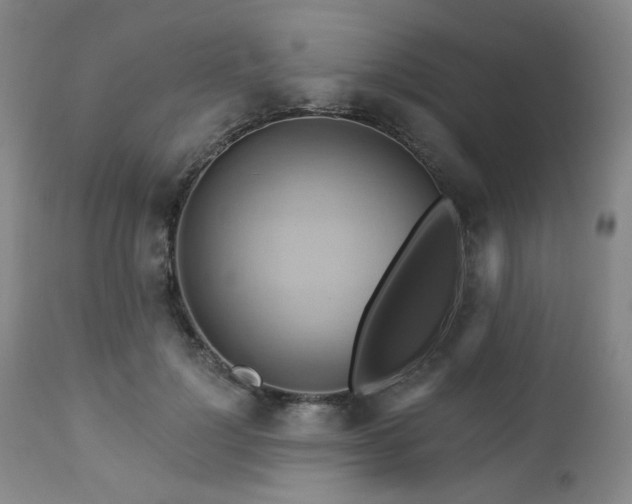 X0000113050748200908271530