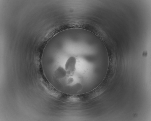X0000113050749200908271530