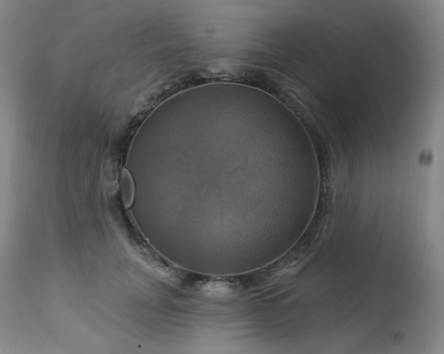 X0000113050751200908271530